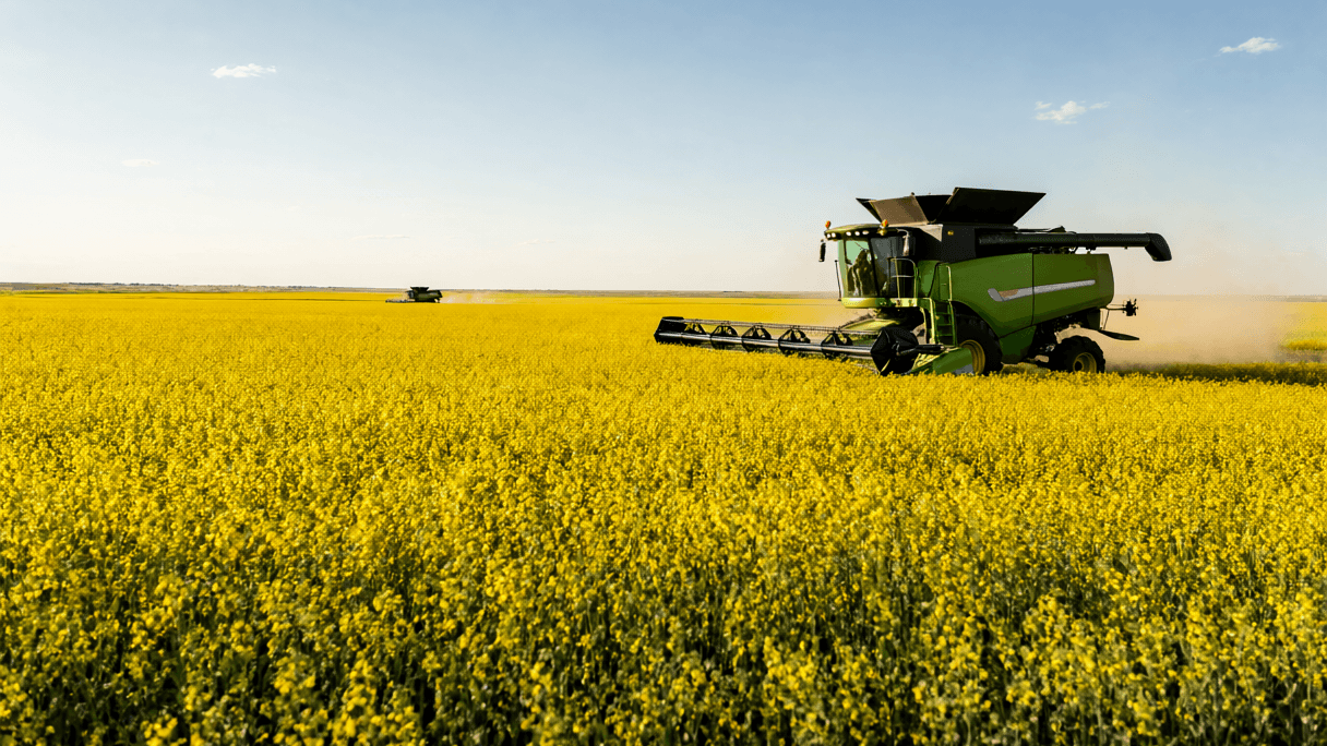 Beyond the Pilot: The Scalability Challenge in AgTech