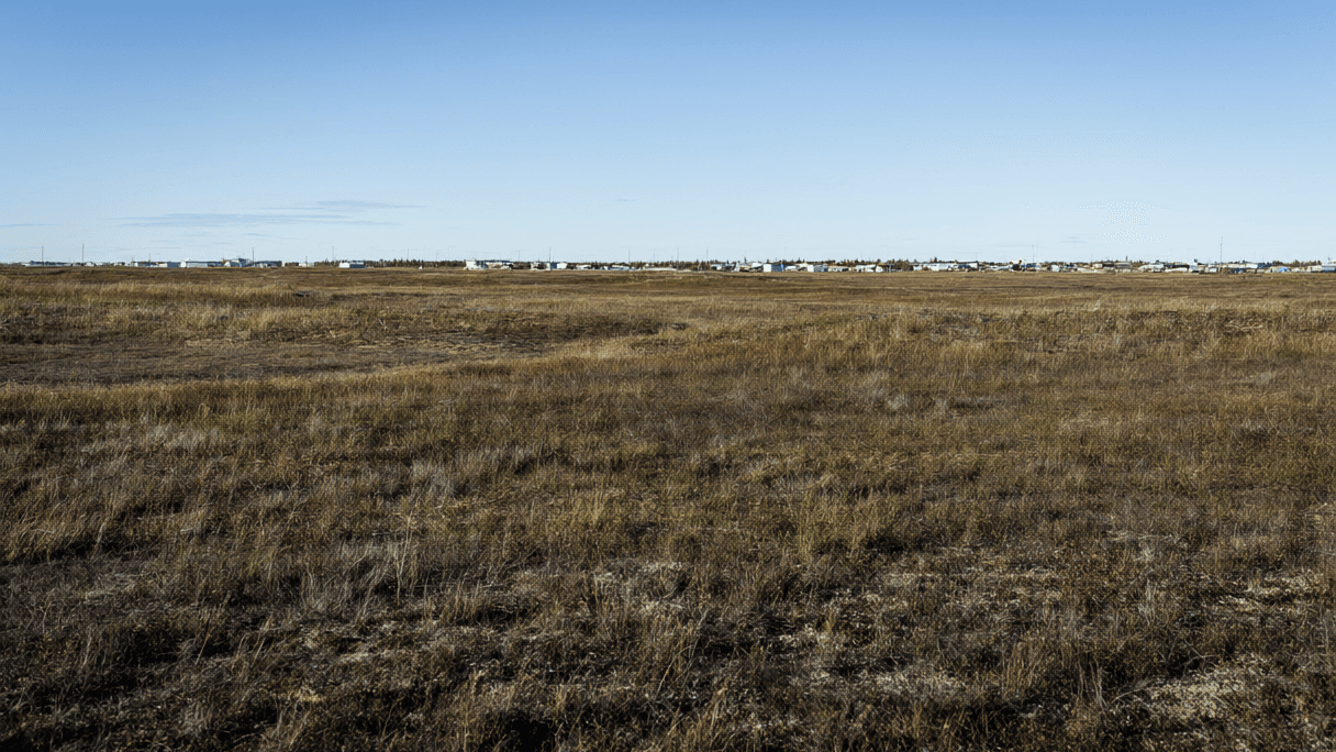 Indigenous Data Sovereignty and the Pace of AI Adoption