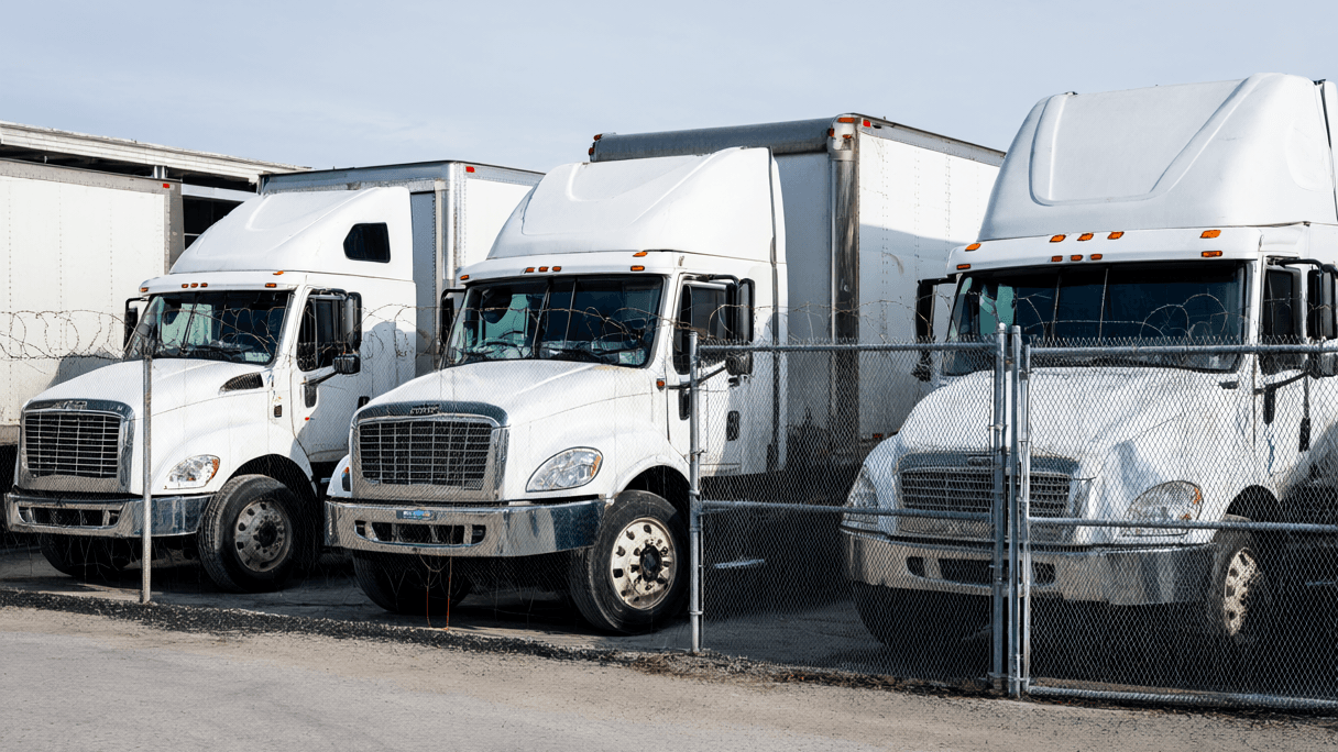 The Cruelty of the Cut: When Theft Targets the Hungry