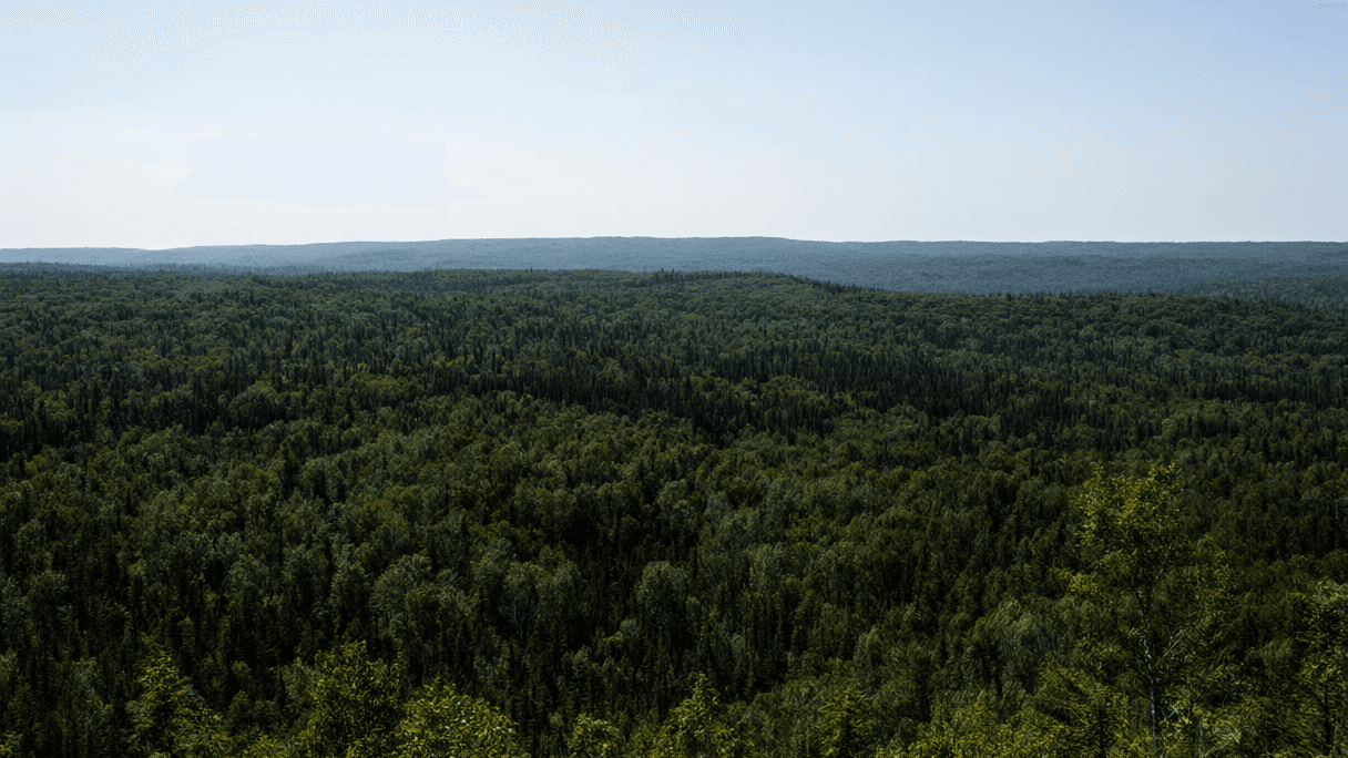 Fisher River Cree Nation Prioritizes Land-Based Learning to Boost Student Well-Being