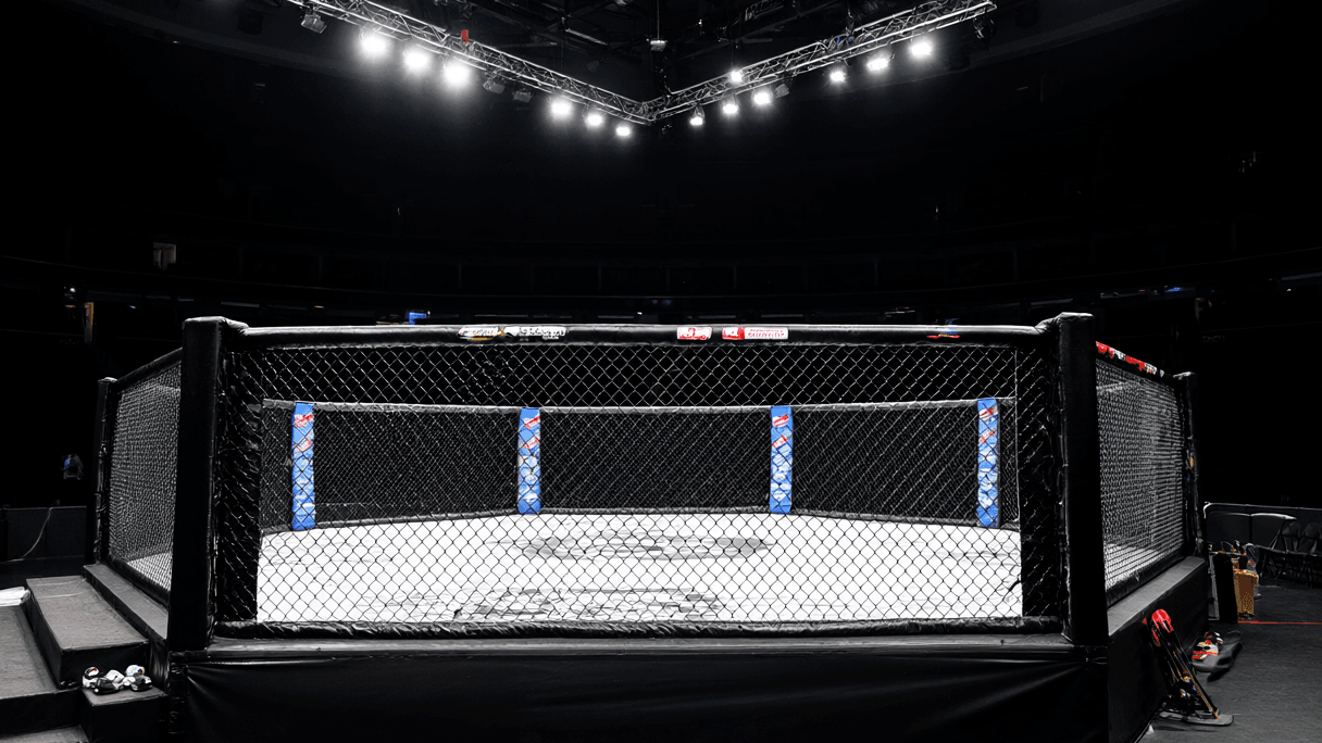 Tactical Traps and Buzzsaws: Breaking Down the UFC 333 Title Fights
