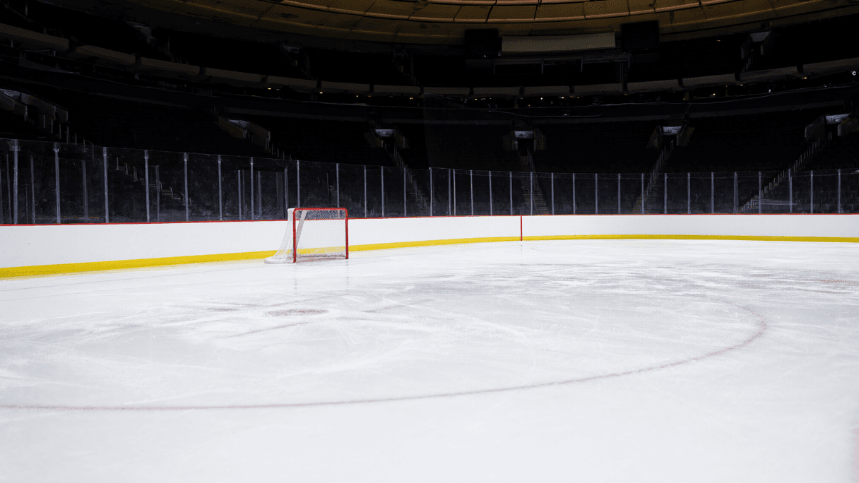 Waiver-Wire Hero Troy Stecher Lifts Leafs Over Rangers